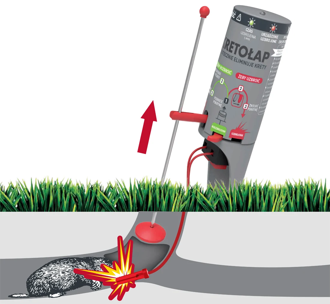 Włady do kretołapa